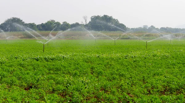 Irrigation Systems