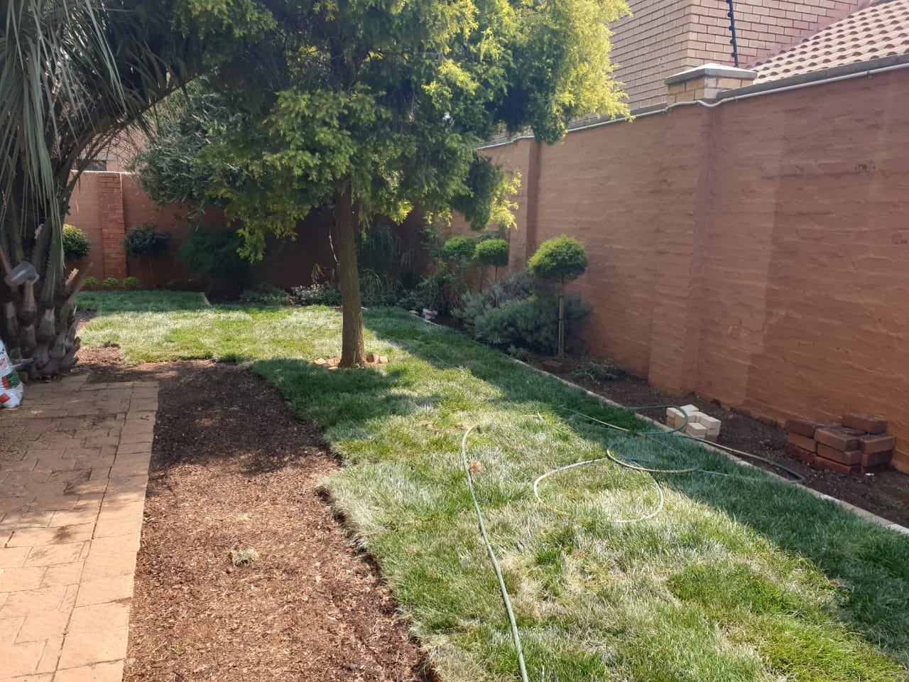 Professional Grass Installation